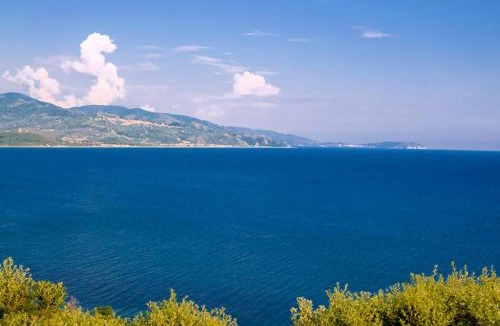 Casal Velino House | L'Olivo - Casa Vacanze Villa Clelia