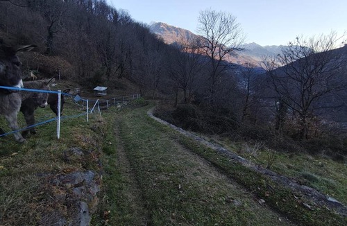 Berzo Demo Apartment | La Baita nel Bosco