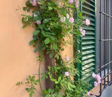 Le Cure House | Notes of Florence - Stylish Suite in an Authentic Area