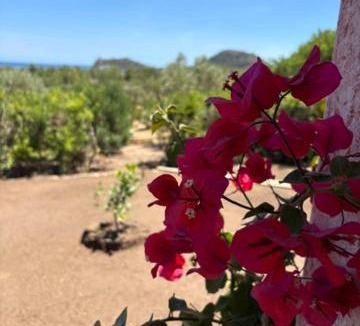 Muravera Villa | Padma Sardinia The Magical House