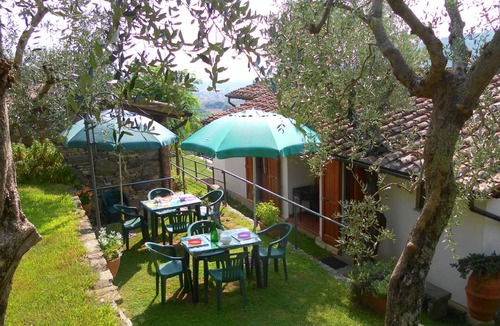 Calci House | PROMOTION Typical Tuscan dwelling, house with garden among olive trees