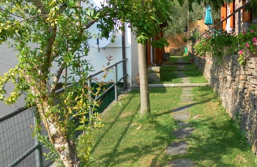 Calci House | PROMOTION Typical Tuscan dwelling, house with garden among olive trees