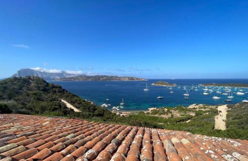 Capo Coda Cavallo Apartment | Punta Est - Villa ANDROMEDA Spazio Family & Pool