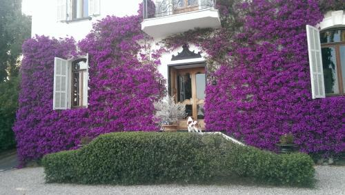 Imperia Bed & Breakfast | Resort Villa San Luca CITR8031