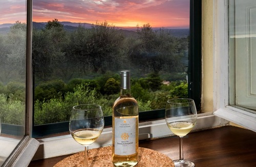 Vicopelago Villa | Royal Villait is a rural residence, reserved only for lovers of Silence, of Olive trees but above all of the breathtaking panorama of the city of Lucca.It is located in the hills south/south west of Lucca, well exposed to the sun, 10 minutes from the