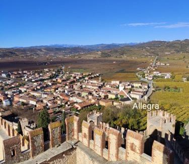 Soave House | Stanza Allegra Soave