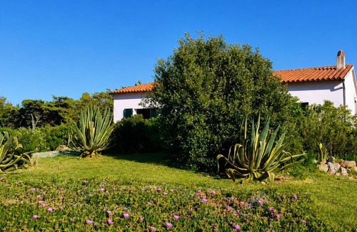 Aglientu Villa | Stunning villa for 6 guests with WIFI, A/C, TV and pets allowed