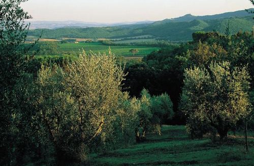 Murlo House | Tenuta Casabianca
