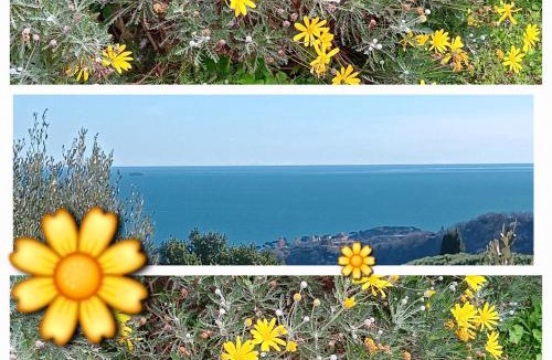 Celle Ligure Apartment | TraMonti e Mare, vista mare giardino, la casa che in ogni stagione si trasforma!
