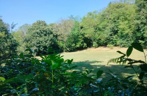 Vigano Bed & Breakfast | Villa Amabel immersa in un parco naturale tra Lecco e Como