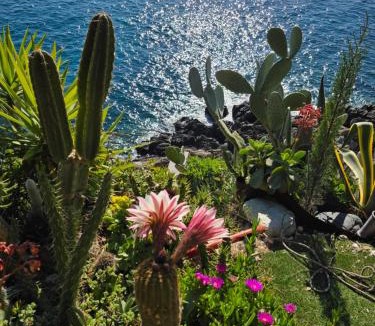 Varazze Villa | Villa Cokkinis fronte mare con ampio giardino