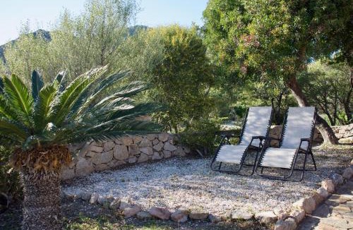 Osseddu House | Villa con Splendido Giardino e Vista Mare a Osseddu - Olbia