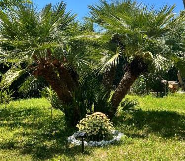 Agropoli Apartment | VILLA ELI