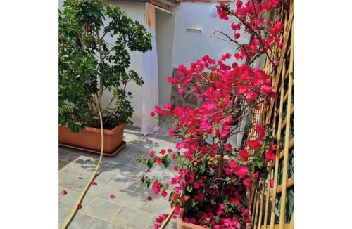 Palinuro House | Villa in Palinuro – Relax in the Countryside with Ocean Views and Fully Equipped Outdoor Areas