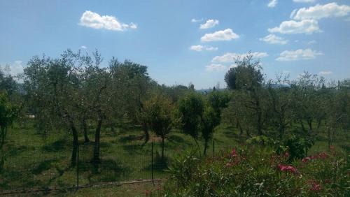 Pian di Sco Apartment | Villa Monnalisa