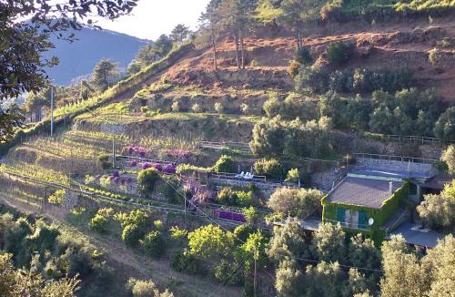 Monterosso al Mare House | Villa Pietrafiore