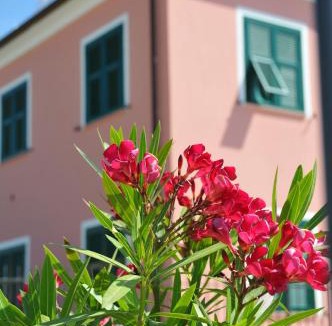 Cervo House | Villaggio La Piana