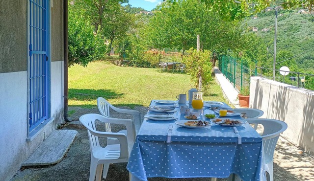 3 bedroom pet friendly home in Terrile