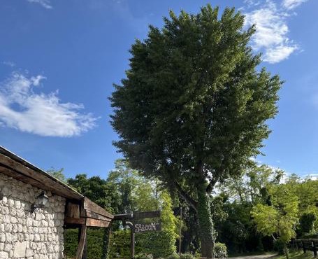 Agriturismo al Ranch