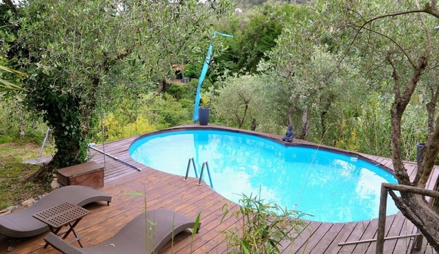Apartment with pool in the middle of olive gardens