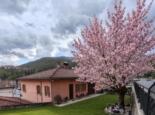 B&B Il Tralcio