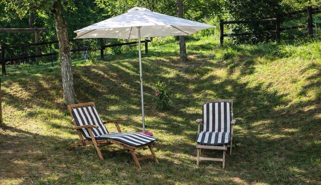 Beautiful apartment for 3 guests with WIFI and pets allowed