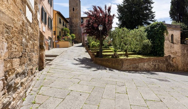 Characteristic apartment of about 70 square meters, located on the raised ground floor (3 steps to access to it) and perfect for two people. The accommodation, inside the Torre dei Serretti, is located in the heart of Vicopisano, one of the best preser