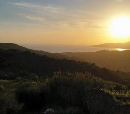 La rosa del Cilento