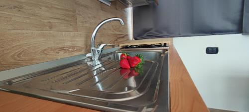 Le Camine SPA, clima, parking, giardino