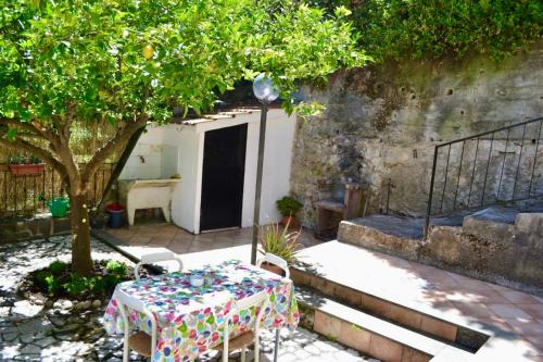 Lemon House