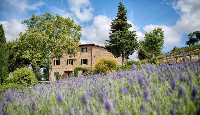 Luxury Chianti with 2 Bedrooms in Panzano Chianti