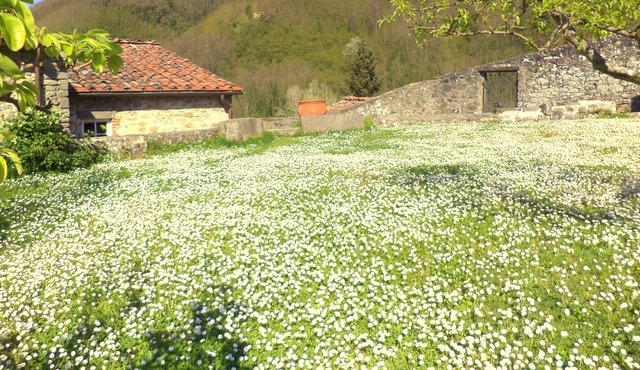 Old mill in Tuscan countryside with pool and views just 30 minutes from Lucca