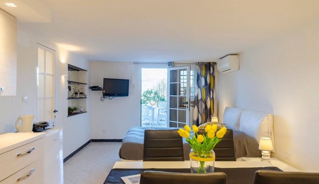 One-room apartment with terrace hill view