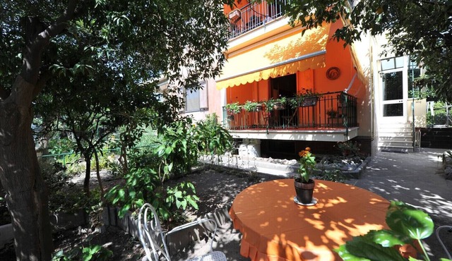 Orange Dreams