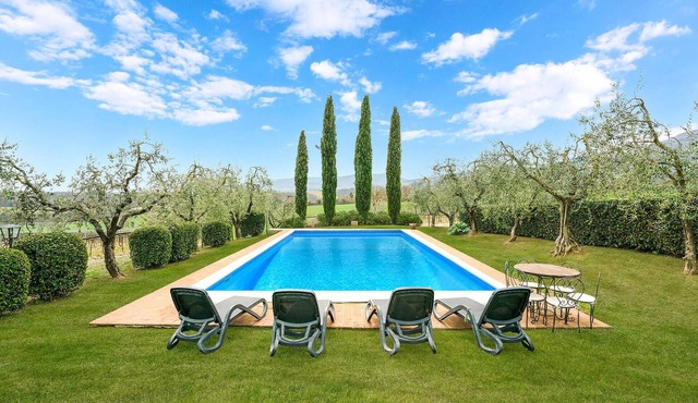 Pet friendly home in Cetona