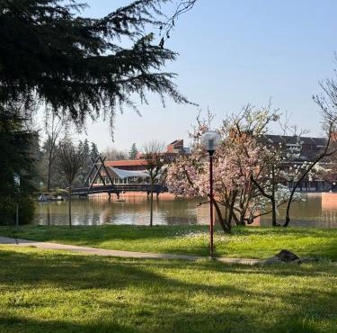 Pieno Centro