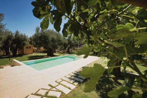 Pilone del Monaco - Pool & Free Parking