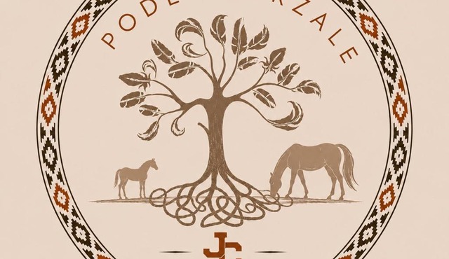 Podere Orzale Agriturismo Galmping Cavalli