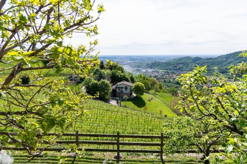 Polisena L'Altro Agriturismo Veg