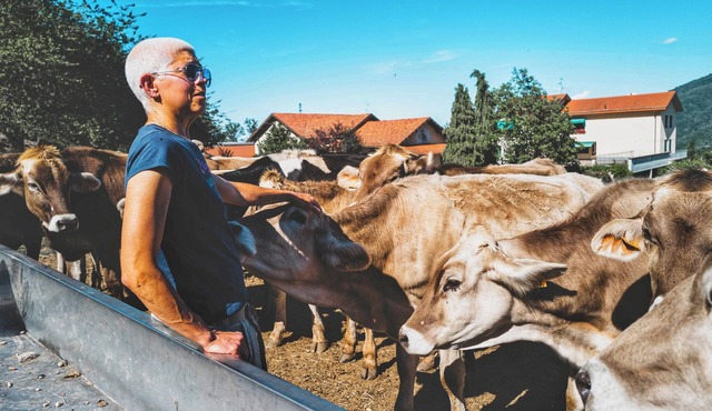 Rural Lodging - Farmstay for 10 guests with 3 bedrooms and 3 bathrooms – Il Lavagè