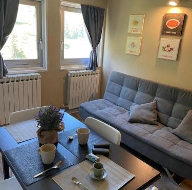 Ski Apartment