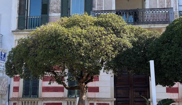 Splendida Casa sul Mare, in Pieno Centro