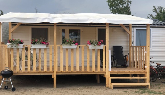 Tiny house on the beach