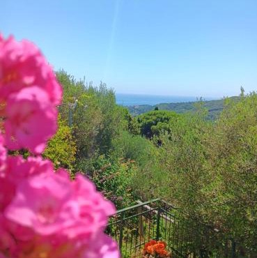TraMonti e Mare, vista mare giardino, la casa che in ogni stagione si trasforma!