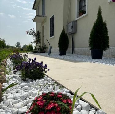 Vigne Del Garda