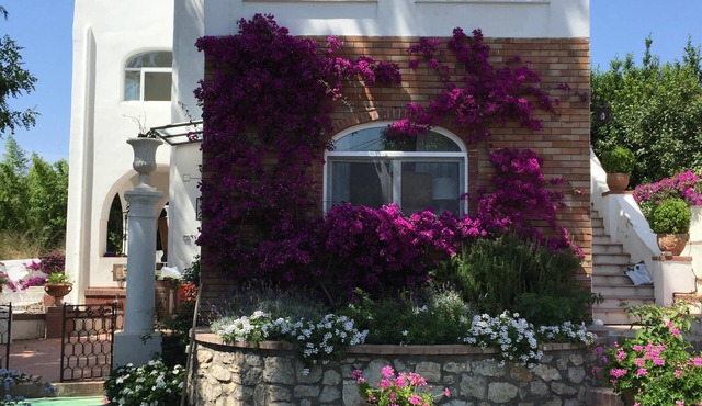 Villa Croce Anacapri. Residence history in the ancient heart of Anacapri.