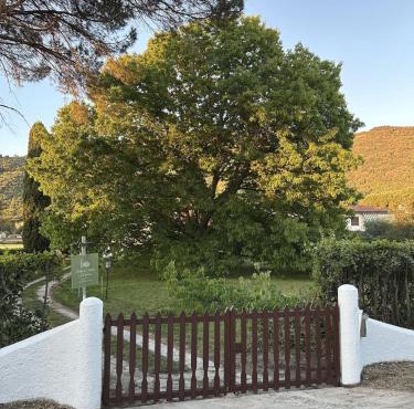 Villa la Quercia e il Cipresso