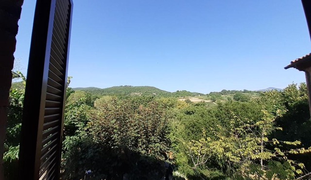 Villa Le Palmine
