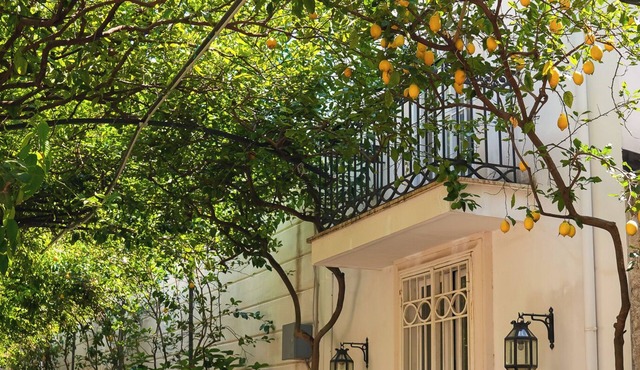 Villa Magnolia