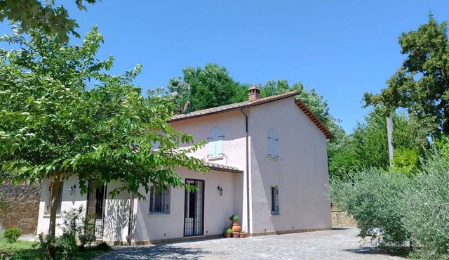 Villa Montepulciano Vineyard